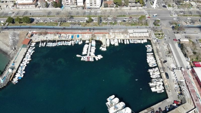 Balıkçıların korkulu rüyası ‘Kaykay’: 1 ay sonra yine salya ile döndüler
