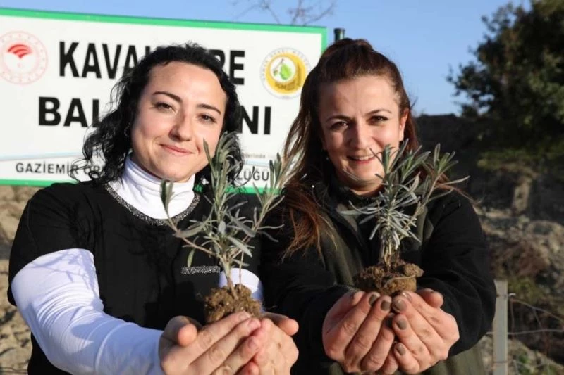Bu ormandan bal damlayacak, köylüye gelir olacak
