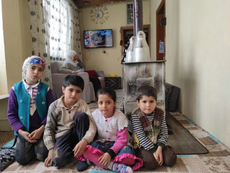 Dolandırıcılar 260 bin lira değerindeki büyükbaş hayvanlarla ortadan kayboldular