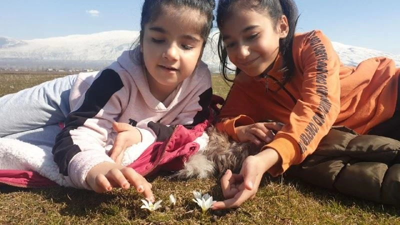 (Özel) Bitlis’te kardelen ve çiğdemler çiçek açtı
