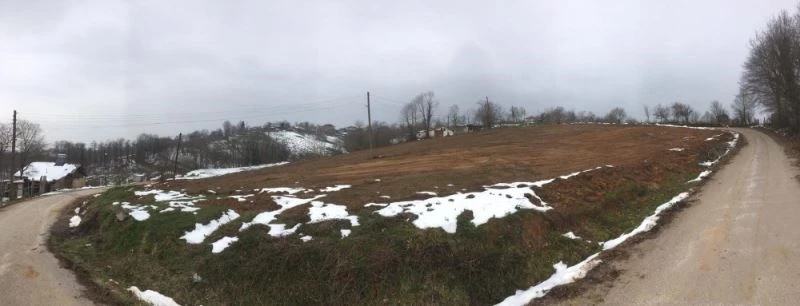 İzmit’te ipek böcekçiliği üretimi geri dönüyor
