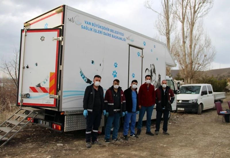 Van Büyükşehir Belediyesi sokak hayvanlarını kısırlaştırıyor
