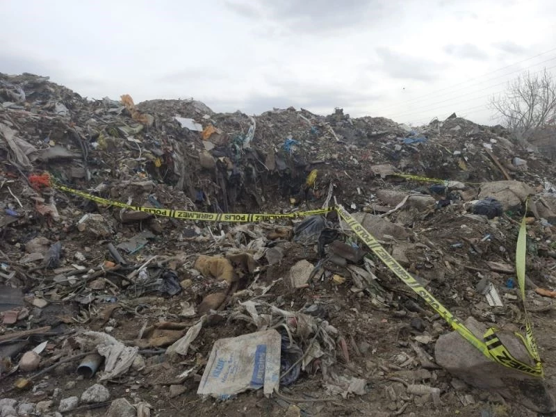 Ankara’da yakılmış köpek leşleri toplandı
