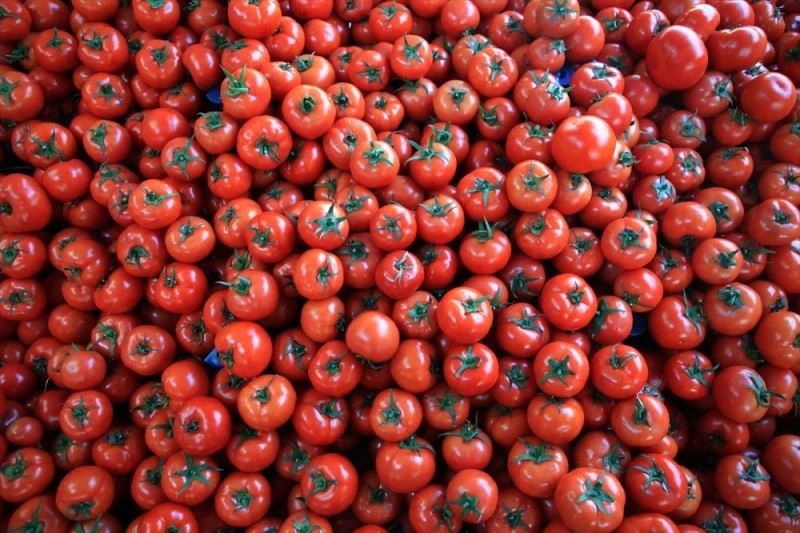 Türkiye, ocak-şubat döneminde 528 milyon dolarlık yaş meyve sebze ihraç etti