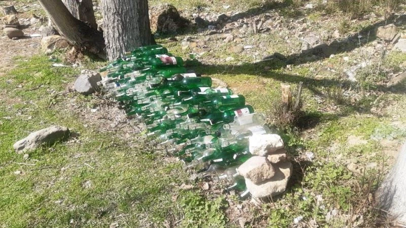 Kızıyla yürüyüşe çıktı gördükleri karşısında şaşırdı
