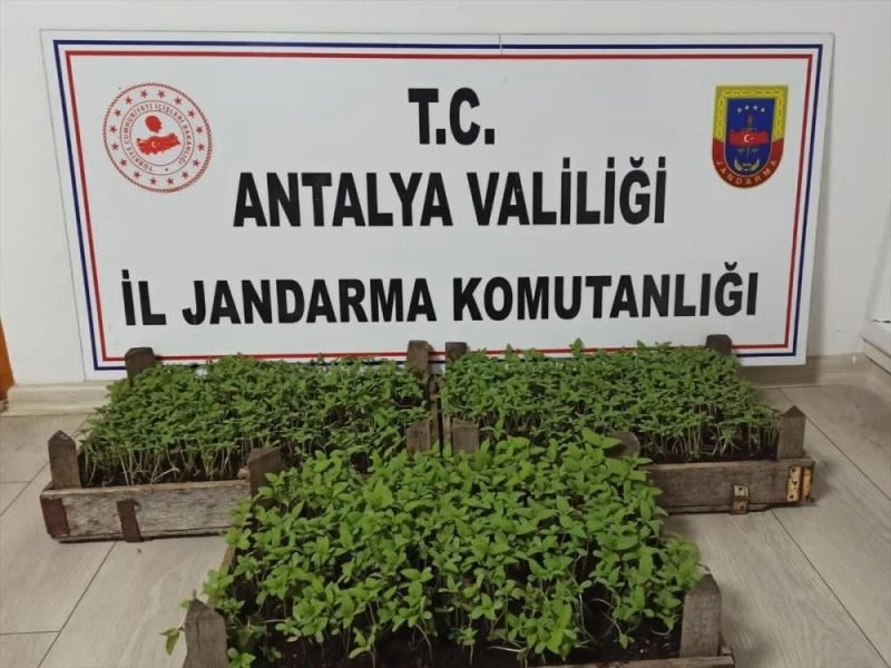 Antalya