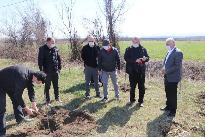 2005’ten bu yana şehitler için fidan dikiyorlar
