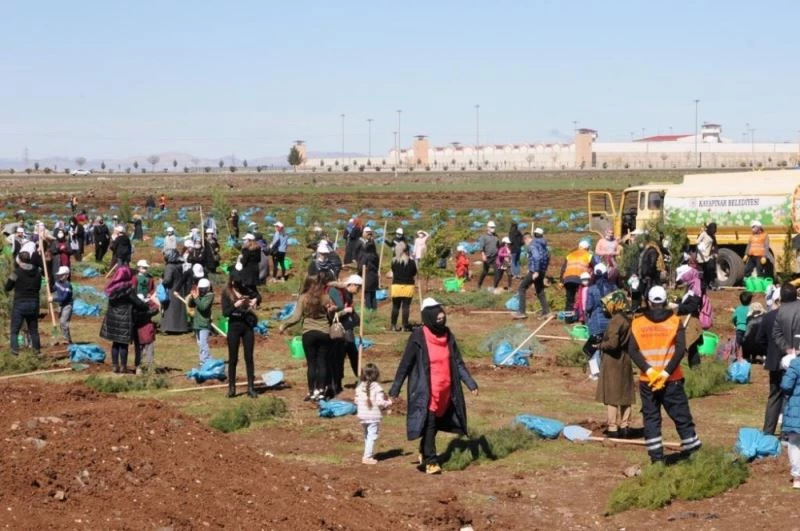 Kayapınar Şehir Ormanına 10 bin fidan dikildi
