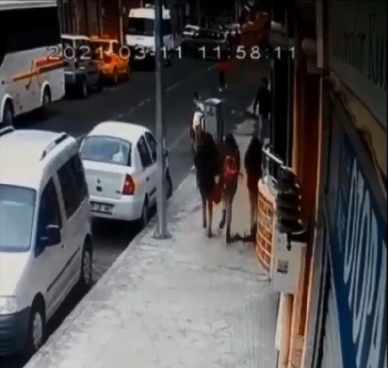 Öğrenciler üzerlerine düşen saksıdan kıl payı kurtuldular
