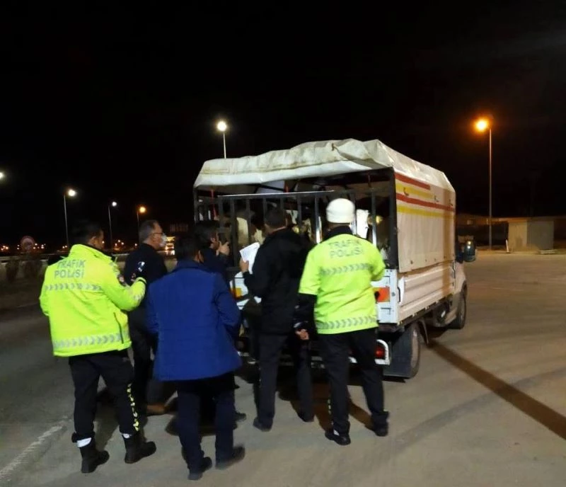 Polisin ‘dur’ ikazına uymayan araçtan nâkile uygun olmayan büyükbaş hayvanlar çıktı
