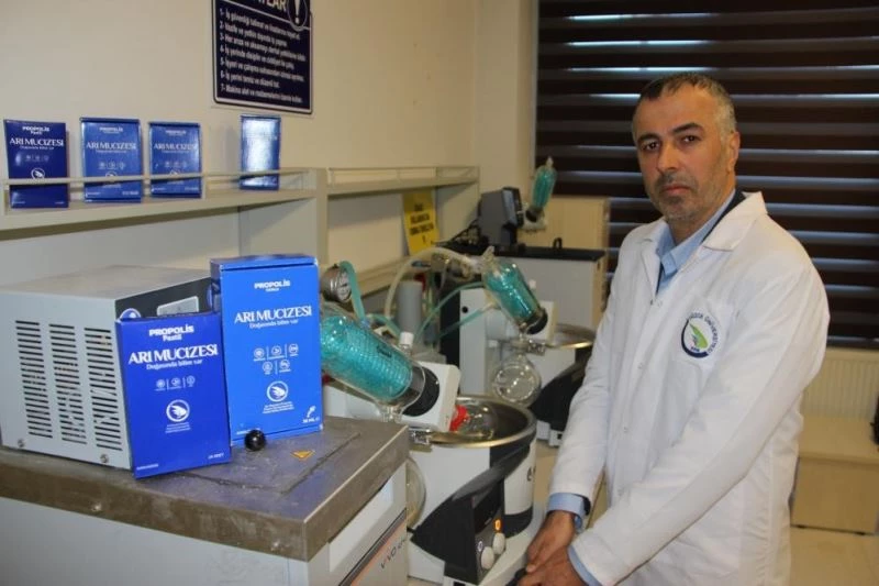 Propolis damlada dikkat edilmesi gerekenler
