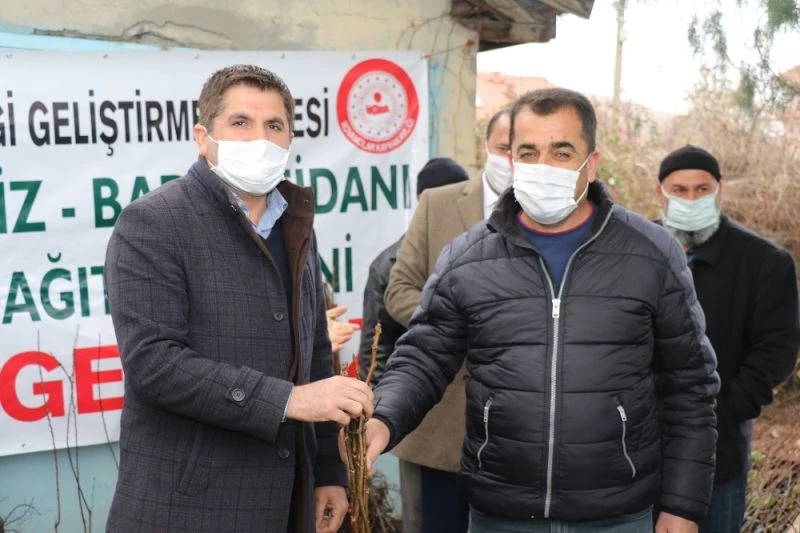 Kovancılar’da 5 bin 500 meyve fidanı dağıtıldı
