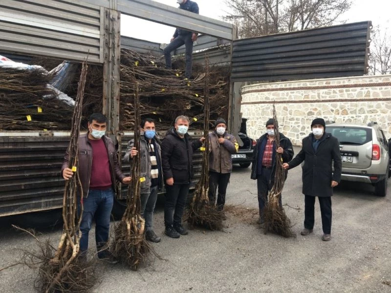 Beyşehir’de ceviz üretimi yaygınlaşacak
