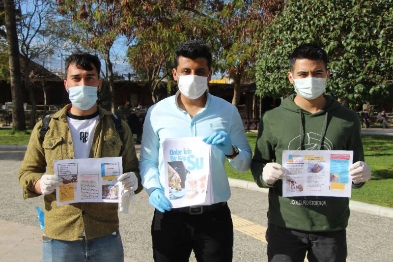 Üniversitelilerden sokak hayvanları için örnek davranış
