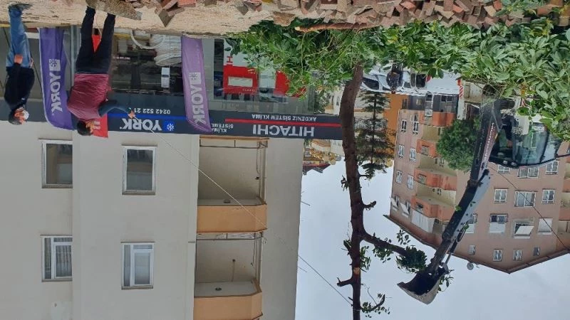 Fırtınada caretta carettalar sahile vurdu
