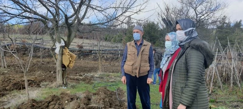 Antioksidan kaynağı meyve ’Aronya’ artık Bilecik’te de yetişecek
