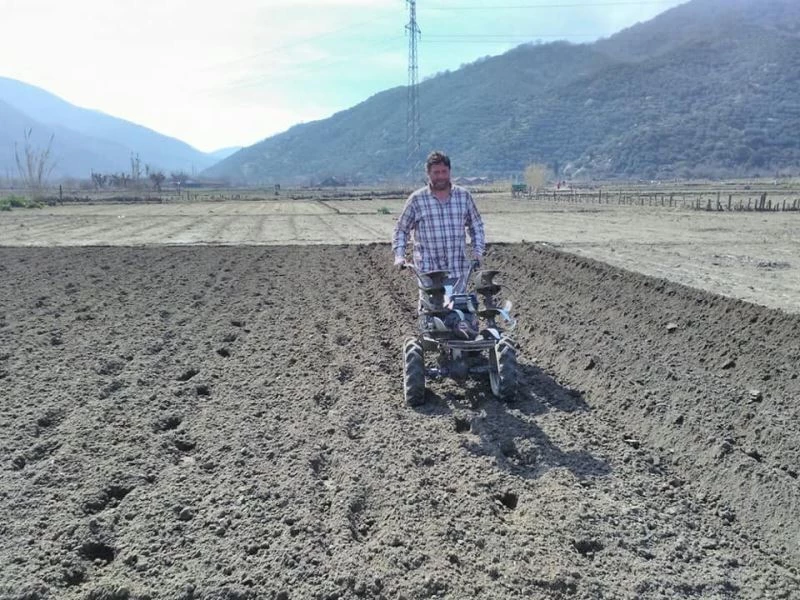 Kapıdağ’da mor soğan dikimi başladı
