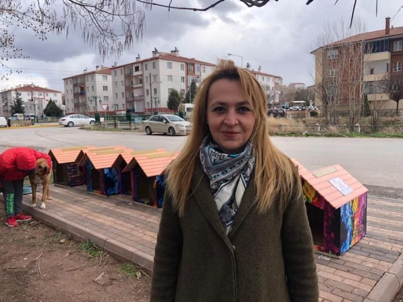 Nasreddin Hoca Parkı’na sokak hayvanları için yeni kulübeler yerleştirildi
