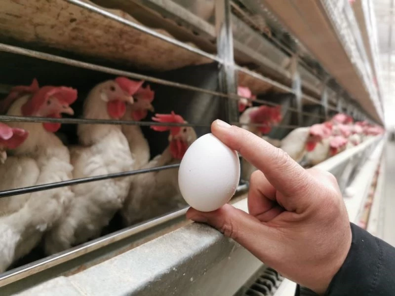 Başmakçı’da gözler Irak pazarının açılmasında
