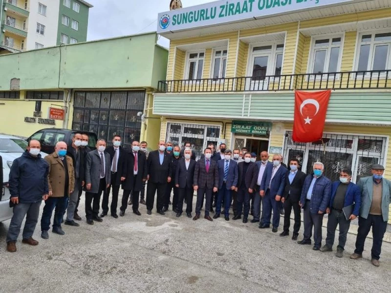 Sungurlu’nun 10 dilim kavunu marka oluyor
