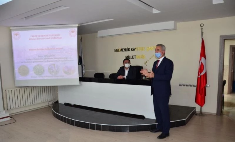 Barza Bölgesi, tıbbi ve aromatik bitkilerin merkezi olacak
