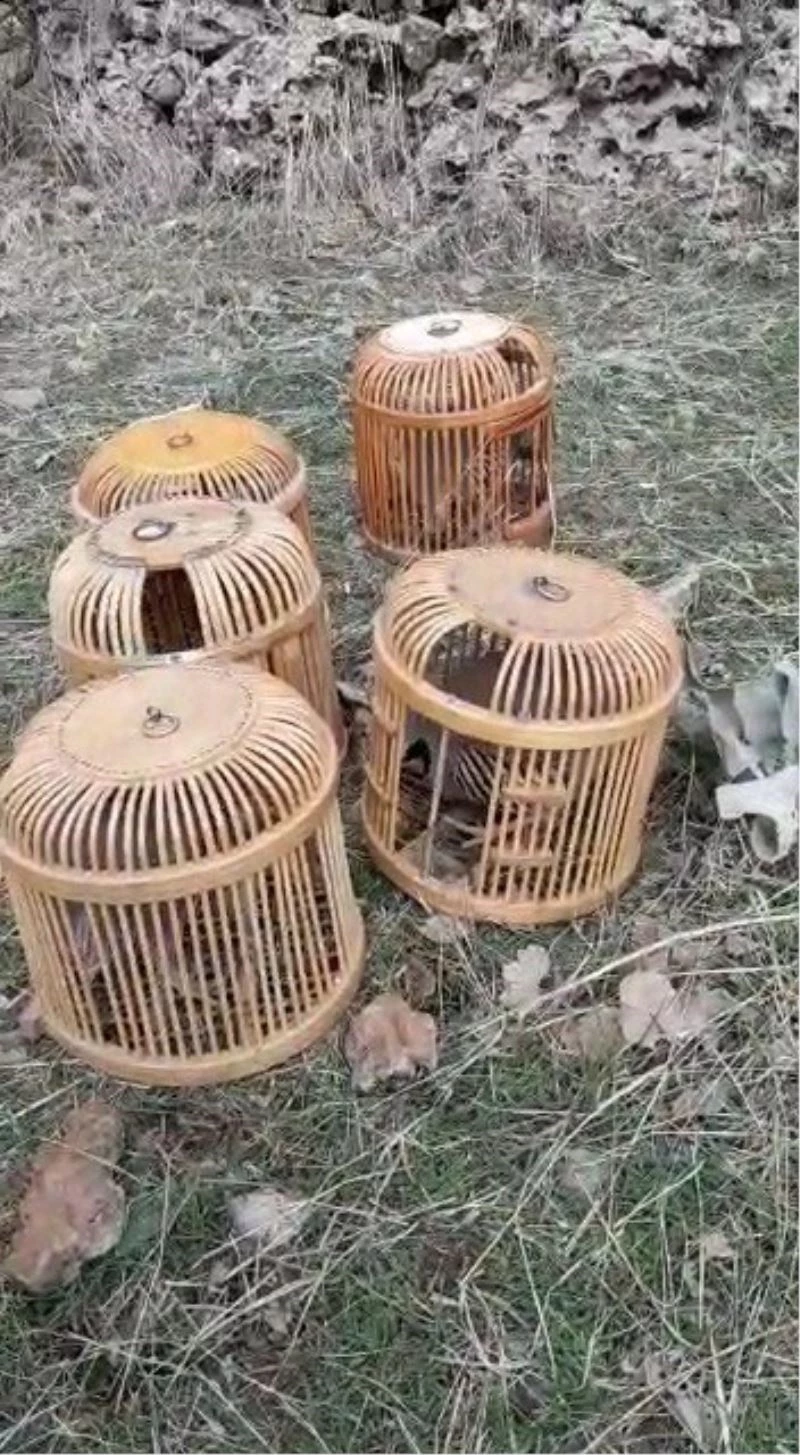 Mardin’de tuzakla keklik avlayan 5 kişiye 60 bin lira ceza
