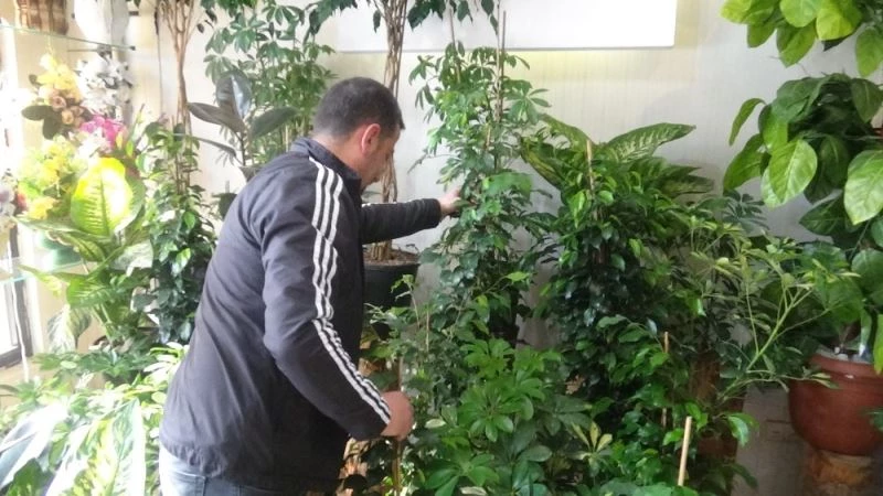 Düğün salonlarının açılması en çok çiçekçileri sevindirdi
