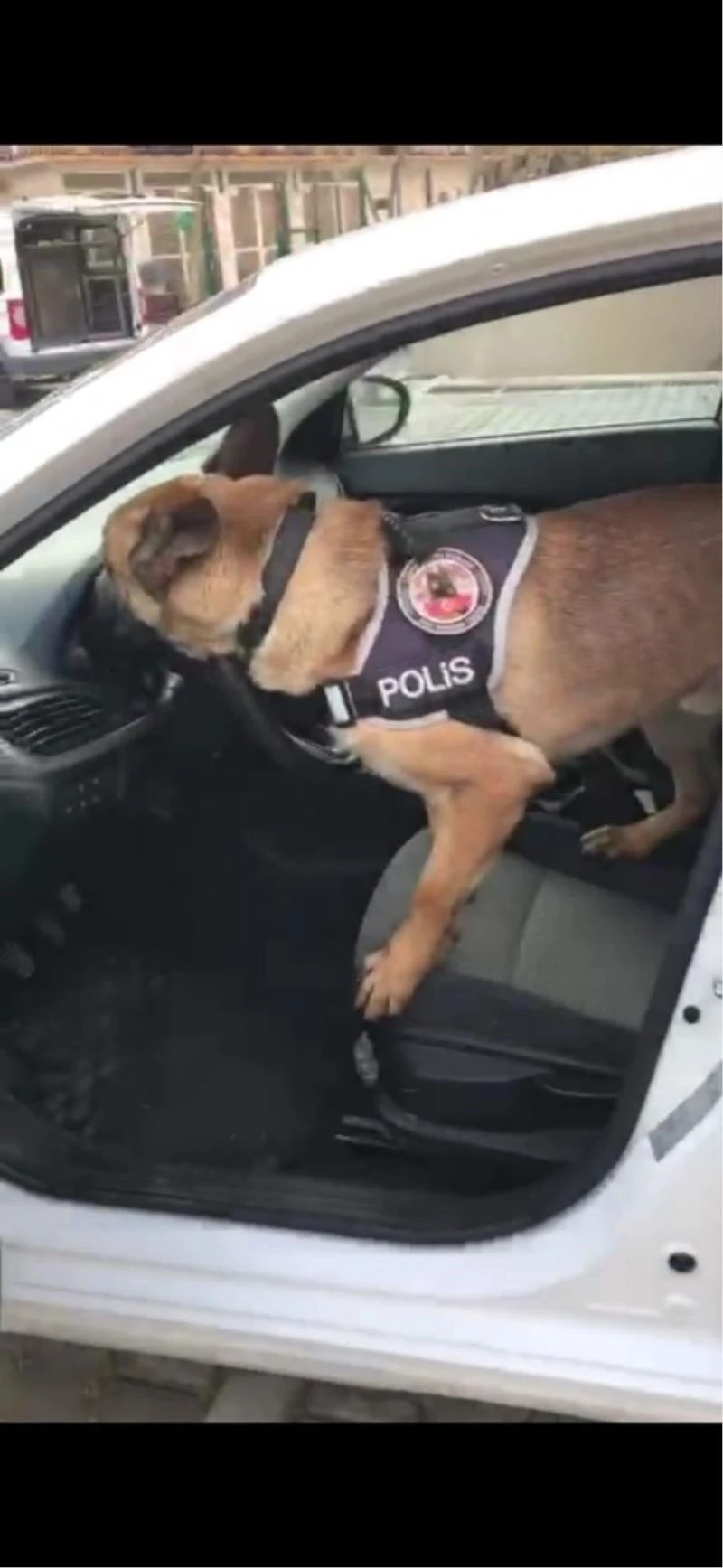 Gösterge paneline saklanan uyuşturucuyu narkotik köpeği Artur buldu

