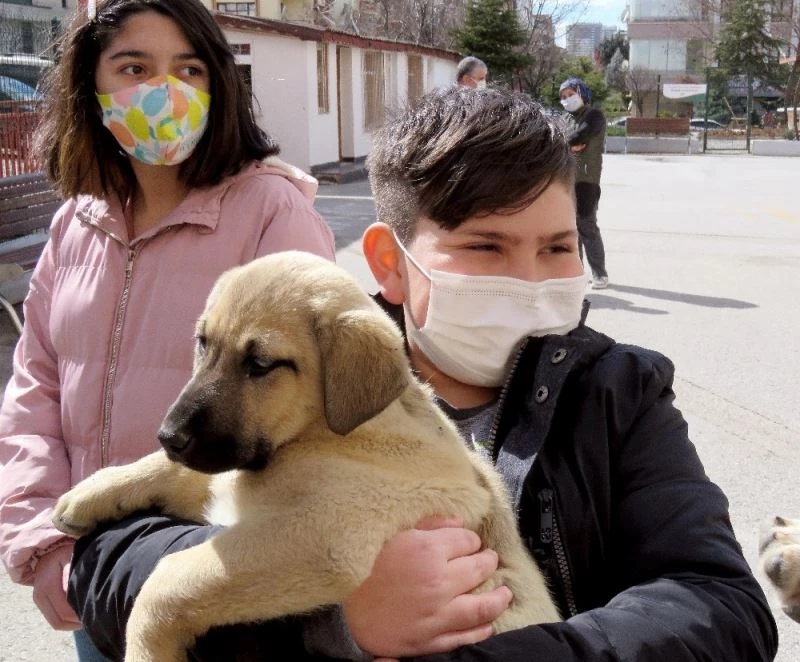 Başkentte hayvansever okula destek
