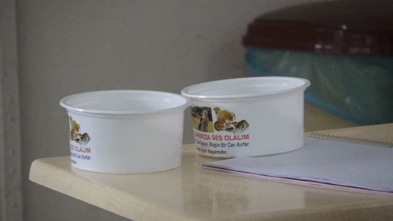 Sessiz canlara adanmış bir hayat
