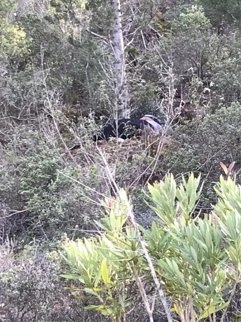 Manavgat’ta kafası bedeninden ayrılmış erkek cesedi bulundu
