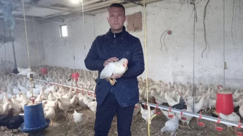 Pandemi döneminde organik yumurtaya talep arttı
