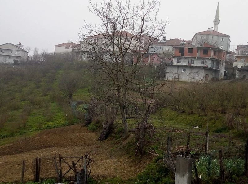 Muhtar 25 köylüyü icraya verdi
