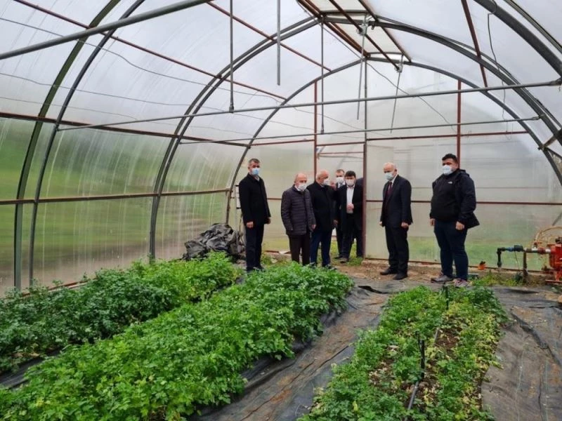 OMÜ Ziraat Fakültesi seraları modernize edilecek
