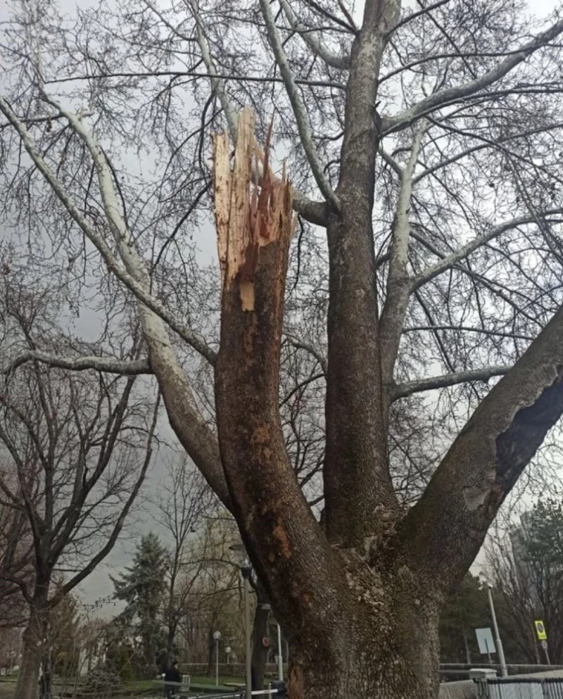 Bakan Pakdemirli’den TBMM bahçesine düşen yıldırıma ilişkin açıklama
