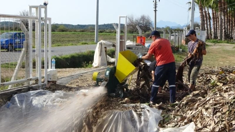 Muz serasının atıkları gübre olup yeniden seraya dönüyor
