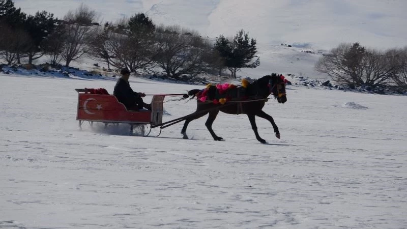 Doğunun incisi Çıldır Gölü’nde atlı kızakla türkü keyfi
