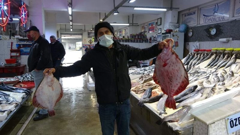 Bu balıklar seyirlik
