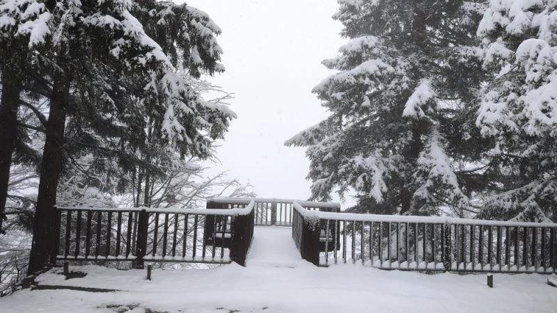Artvin’in ünlü Kafkasör Yaylası yağan karla beyaza büründü
