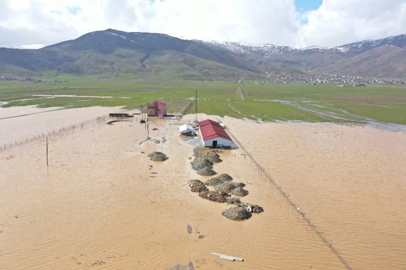 Muş’ta tarım arazileri ve hayvan çiftlikleri su altında kaldı
