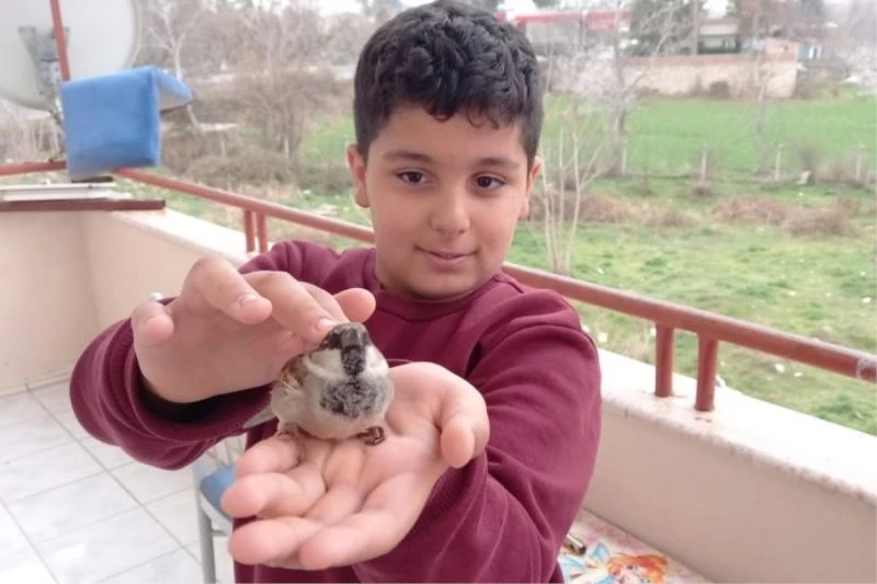 Soğuktan üşüyen minik Serçe, Ömer’in avuçlarında ısındı
