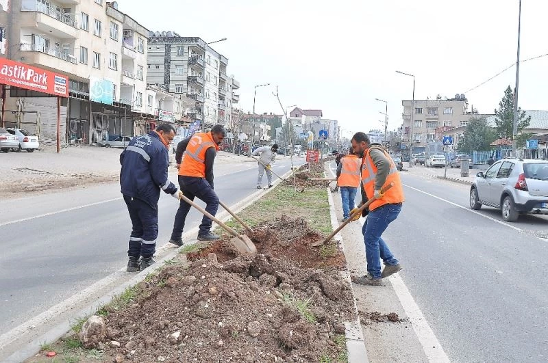 Diyarbakır Büyükşehir Belediyesi, ilçelerde 664 ağaç dikti
