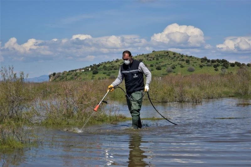 Aliağa’da sivrisinek ile mücadele sürüyor
