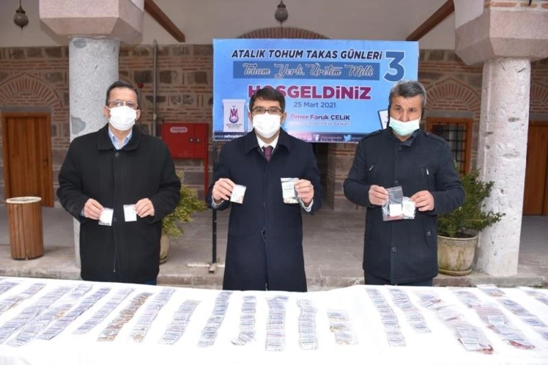 Atalık tohuma ilgi arttı
