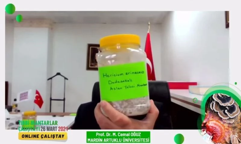 MAÜ’den tıbbi mantarlar çalıştayı
