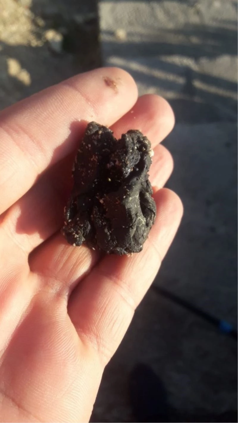 Kimyasal atığın Akyatan Lagünü’ne ulaşmaması için çalışma başlatıldı
