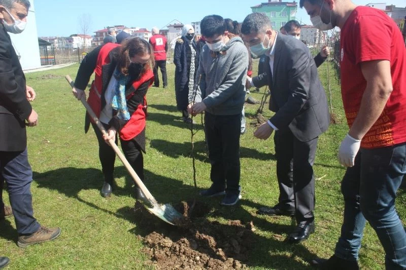 Bugünden yarına bir meyve
