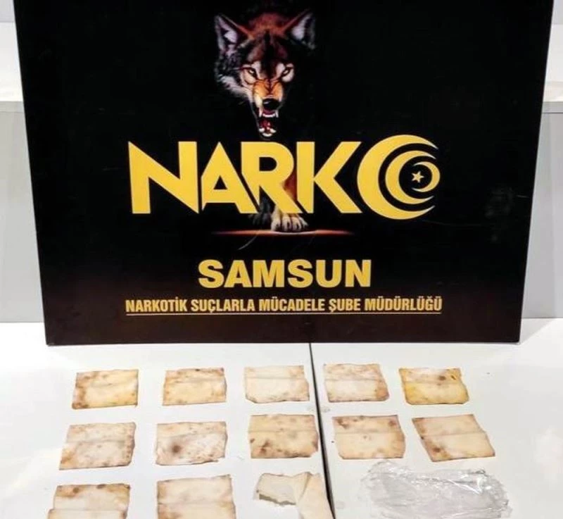 Samsun’da selülozik kağıda emdirilmiş bonzai ele geçti: 1 gözaltı
