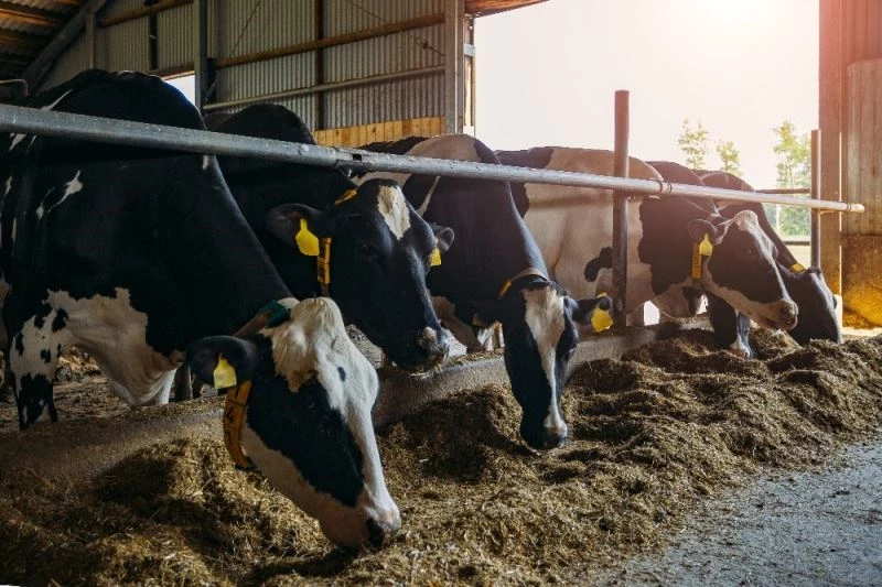 Besicilere uygulanan indirimli su tarifesinin kapsamı genişletildi
