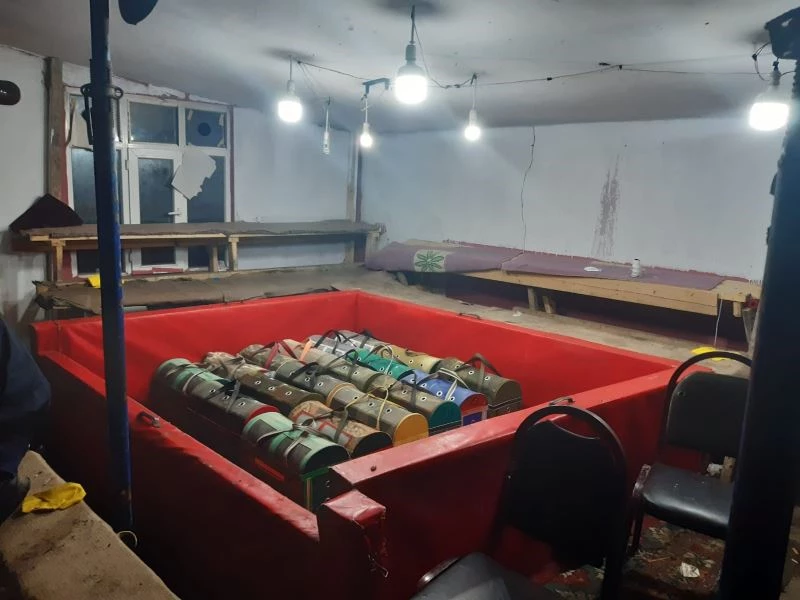 Tekirdağ’da horoz dövüştüren gruba operasyon: 18 kişi yakalandı
